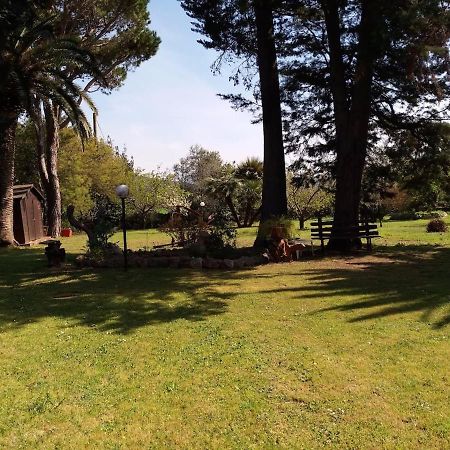 オルベテッロ Capolinea Al Mare Bed & Breakfast エクステリア 写真